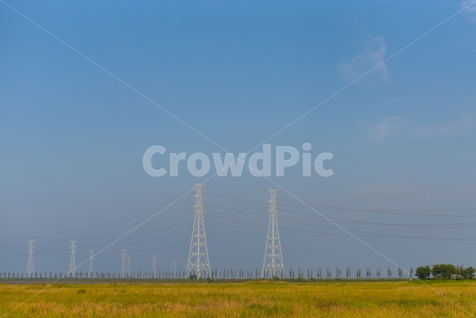 풍경,하늘,하늘색,논,전봇대,자연,풍경,nature,landscape,산업,industry,industrial,에너지산업,energy industry