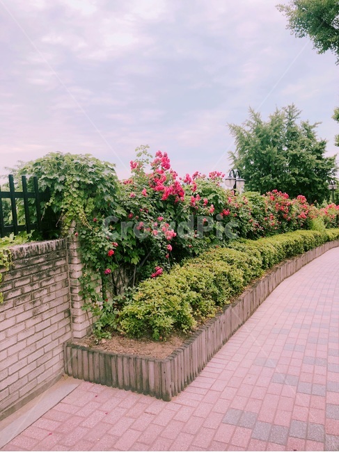 서울,꽃,하늘,풍경,봄,자연,풍경,nature,landscape,outdoors,옥외,garden,정원,arbour,정자