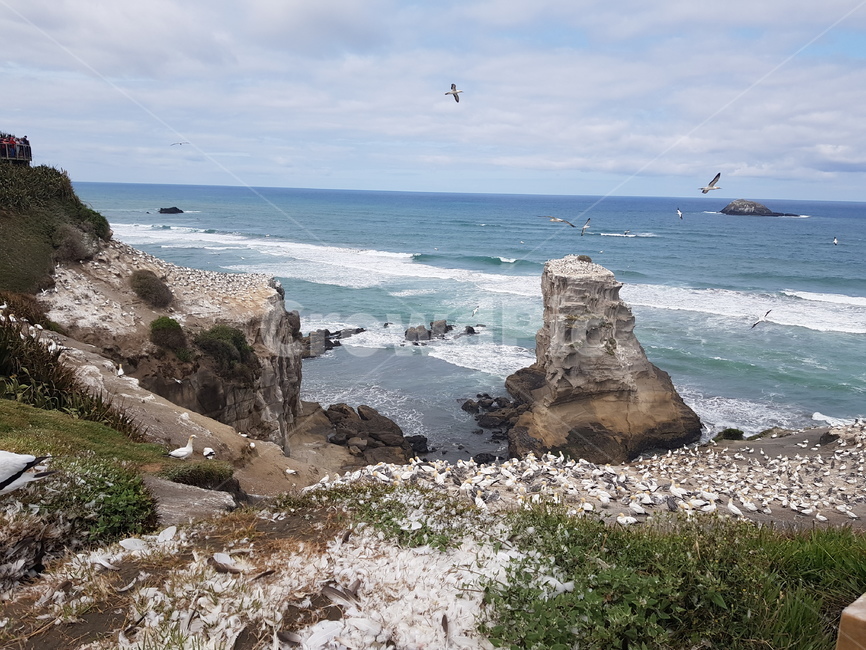 nature,자연,바다,레저활동,새,해안,풍경,경치,생태계,sea,landscape,bird,coast,view