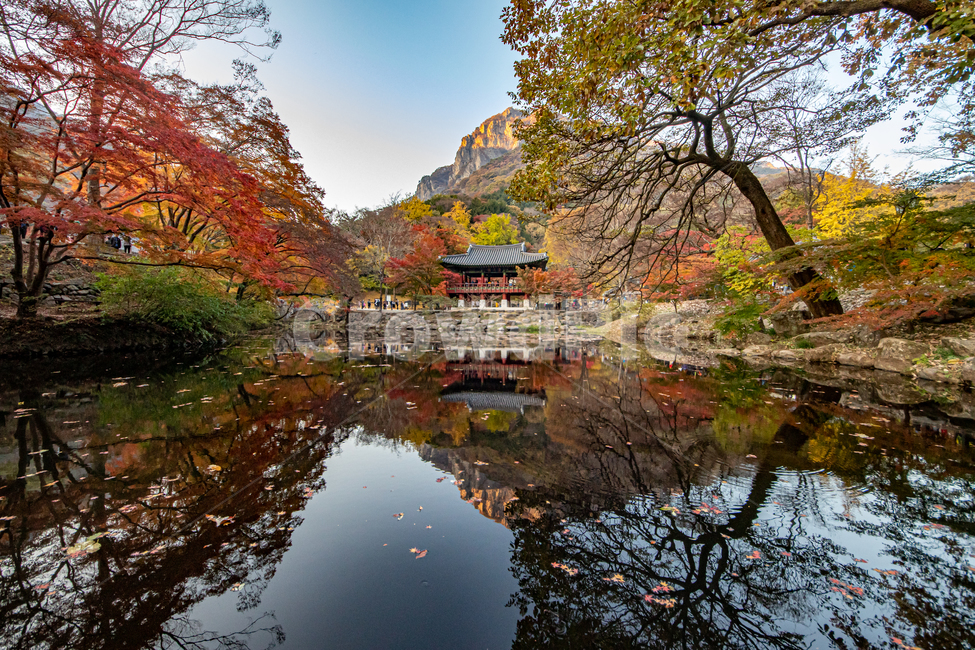 자연,백양사,단풍,가을,반영,가을,계절,fall,autumn,season,자연,풍경,nature,landscape,한국전통,한국문화,korean traditional,korean culture