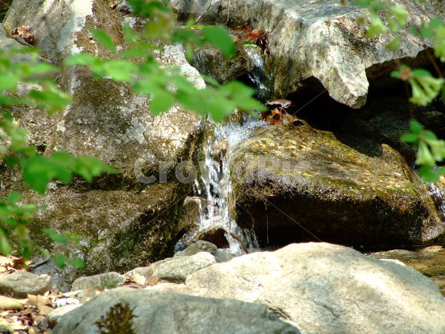 계곡,돌,물,여름,숲속,자연,풍경,nature,landscape,water