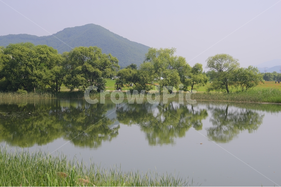 반영,물,강물,나무,자연,풍경,물의정원,reflex,초록,green,자연,풍경,nature,landscape,한국자연풍경,한국자연경관,korea nature landscape,water,outdoors,옥외,land,땅