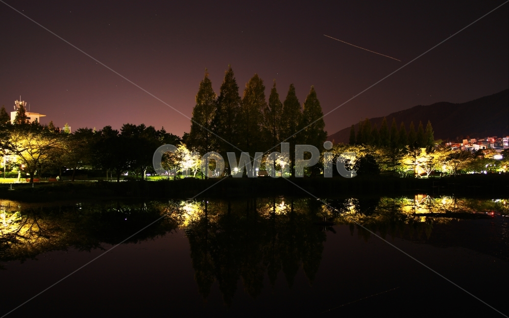 연지공원,김해연지공원,야경,공원,park,자연,풍경,nature,landscape,야경,밤,nightscape,night,outdoors,옥외