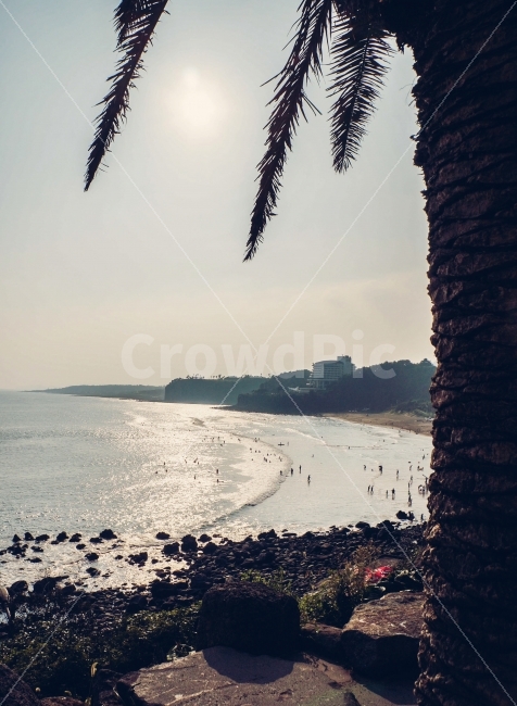 제주도,여행,중문,색달해변,노을,자연,풍경,nature,landscape,해변,바다,beach,sea,제주도,jeju,jeju island,tree,나무,plant,식물
