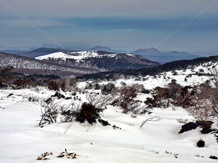어리목,제주도,한라산,설경,겨울산,눈,등산,설화,오름,겨울,계절,winter,season,자연,풍경,nature,landscape,outdoors,옥외,mountain range,산맥,mountain,산,plateau,고원