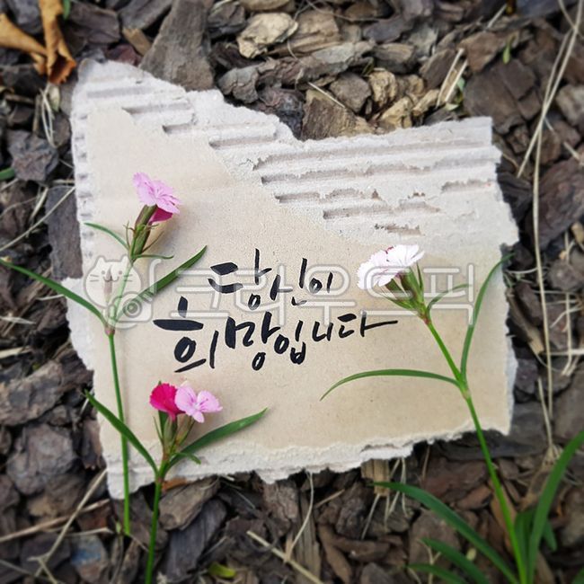Good article,petal,nature,pretty flower,memo,good horse,pretty article,text,calligraphy,flower