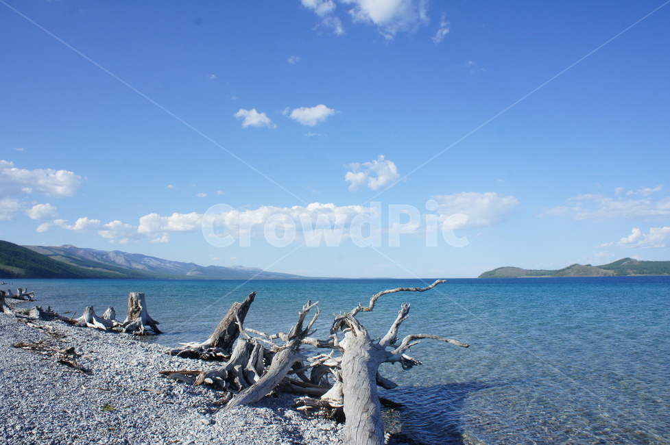 호수,몽골,홉스골,khovsgollake,바다,풍경,나무,자연,mongolia
