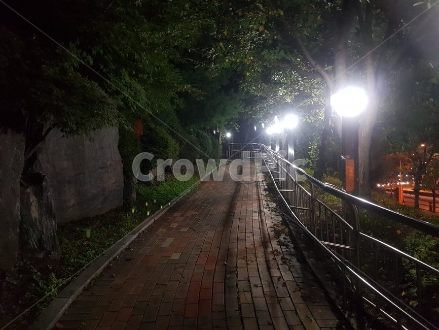 야간,야경,night,도로,road,야경,밤,풍경,nightscape,night,landscape