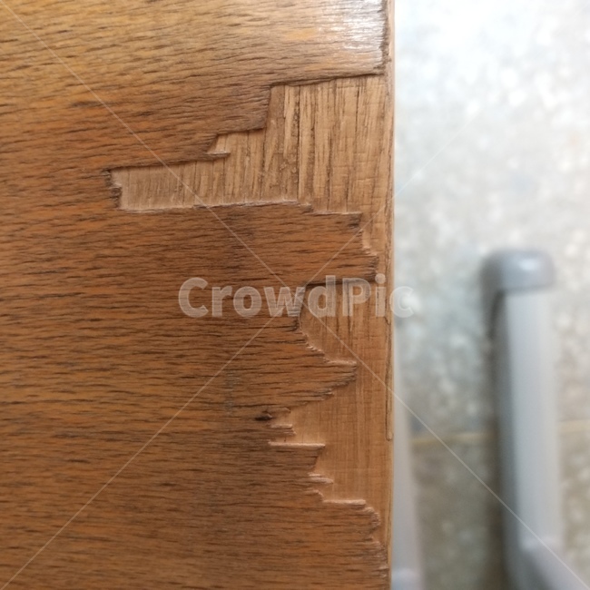 wood,나무,hardwood,견목,나목