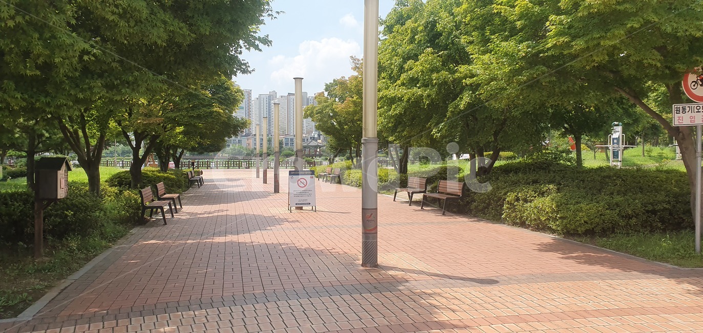공원,입구,공원입구,맑음,푸른,보도블럭,산책,화사한,통로