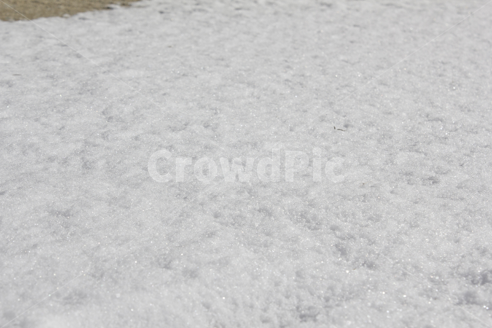 겨울,눈,눈밭,스노우,눈길,눈쌓인,폭설,자연,snow,흰색,화이트,하얀색,표면,겨울,계절,winter,season