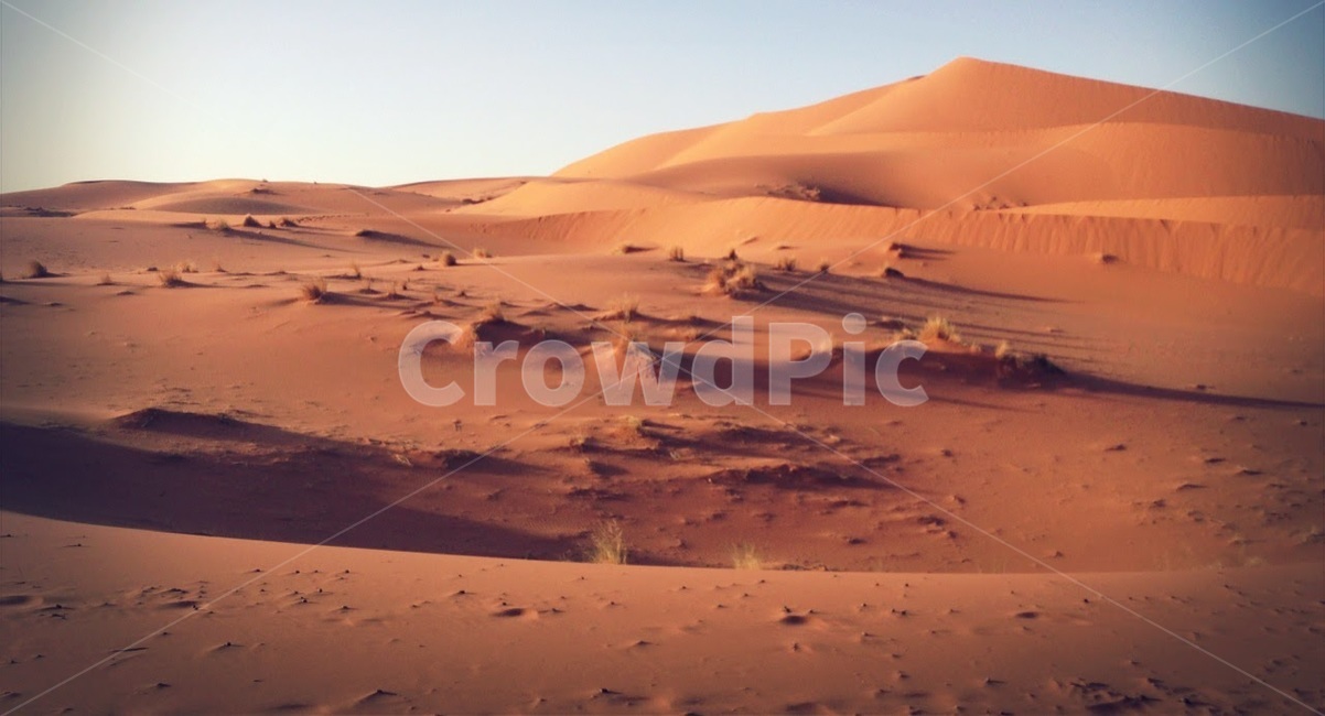 사막,사하라,풍경,여름,모로코,desert,sahara,morocco,summer,자연,풍경,nature,landscape,해외,외국,세계,foreign,oversea,world,세계자연풍경,해외자연풍경,외국자연풍경,world nature landscape,soil,흙,sand,모래,outdoors,옥외