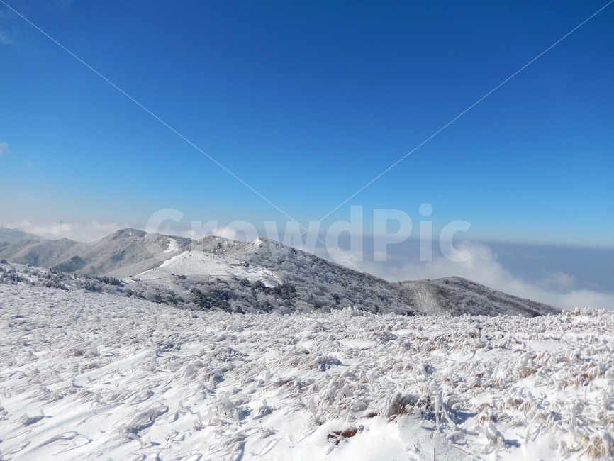 소백산,눈꽃풍경,상고대,겨울풍경,국립공원,겨울동화,힐링,감성,아름다움,뷰티풀,설국,눈풍경,파란하늘,100대명산,겨울명산,설경,서리꽃,영동,snow,landscape,눈,화이트,자연,신비로운,경이로운,천상,비경,치유,겨울,계절,winter,season,자연,풍경,nature,landscape,한국자연풍경,한국자연경관,korea nature landscape,mountain,산,outdoors,옥외,ice,얼음