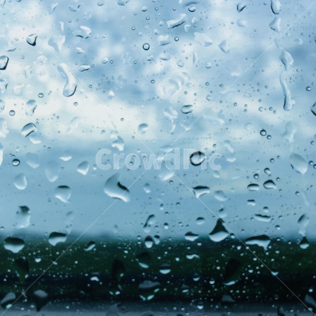 물방울,빗물,비,작은물방울,droplet