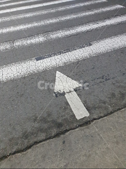 도로,road,아스팔트,asphalt,횡단보도,화살표,흰색,검은색
