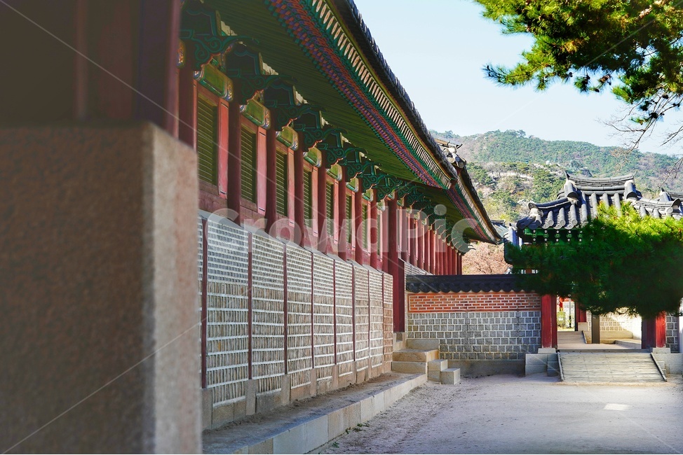 경복궁,palace,shrine,temple,architecture,building,신사,신전,건축물,건물,궁