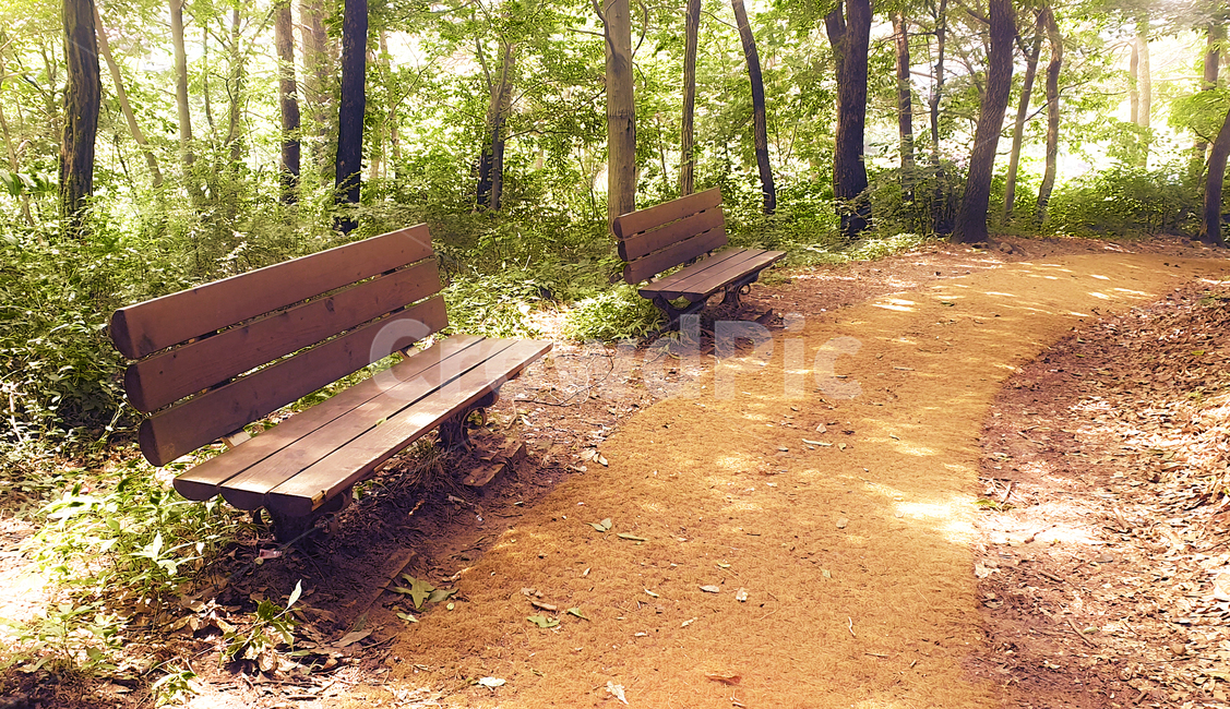 산,계족산,등산로,ground,숲