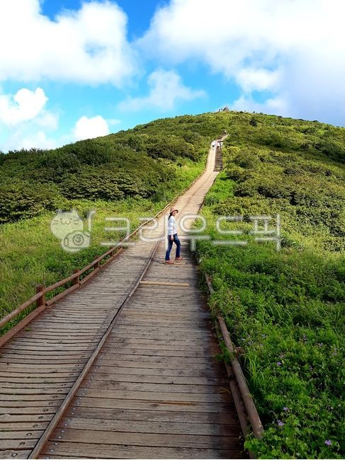 노고단,지리산,길,산책로,산책길,등산로,여자,사람,산행,정상,산꼭대기,난간,식물,여름,계절,흰구름,데크,국립공원,등산,모자,등산화,구름,파란하늘,하늘,오르막,맑음