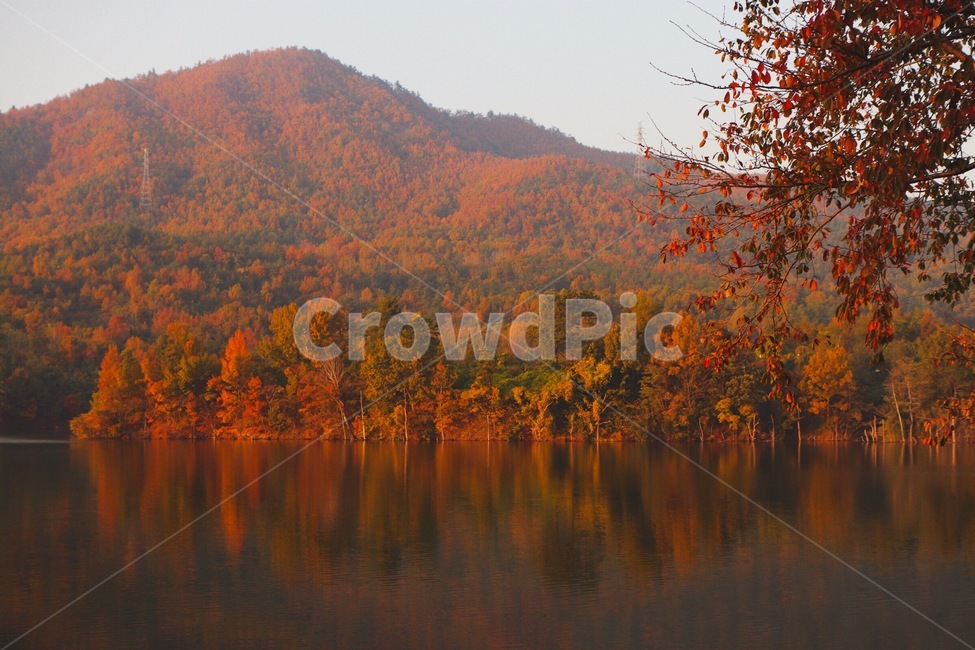 가을,색감,감성사진,저수지,반영,가을,계절,fall,autumn,season,자연,풍경,nature,landscape,한국자연풍경,한국자연경관,korea nature landscape,outdoors,옥외,water,물,plant,식물,tree,나무