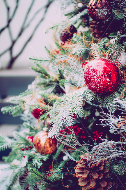 크리스마스,메리크리스마스,크리스마스장식,크리스마스트리,christmas,xmas,xmas,merrychristmas,겨울,계절,winter,season,기념일,축하,anniversary,congratulation,celebrate,celebration,메리크리스마스,성탄절,merry christmas