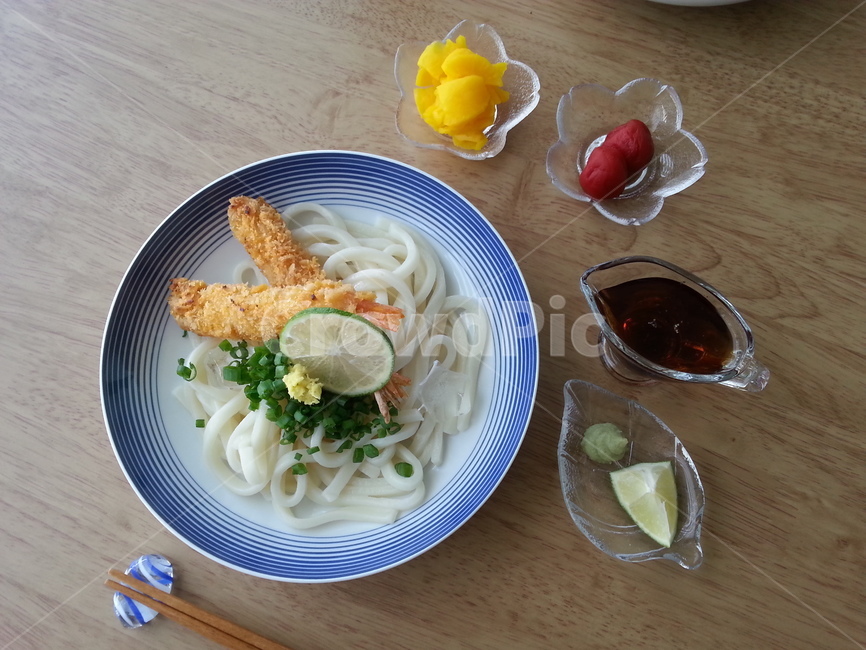 요리,음식,붓카게우동,우동,일본음식,음식,식재료,요리,food,cook,meal,dishes,food reserves,일식,일본음식,일본요리,Japanese food,Japanese dishes,Japanese meal,Japanese cook