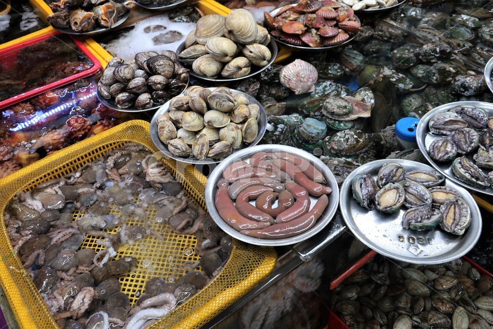 조개,수산물,해산물,수산시장,판매,진열,자연산,해물,식재료,신선한,싱싱한,어시장,시장,마트,마켓,market,mart,market place,음식,식재료,요리,food,cook,meal,dishes,food reserves,수산물,해산물,fishery products,seafood