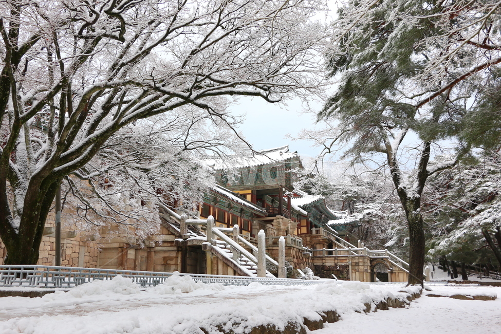 사찰,절,겨울,눈,감성,outdoors,옥외,nature,자연,주택,building,건물,자연,풍경,nature,landscape,housing