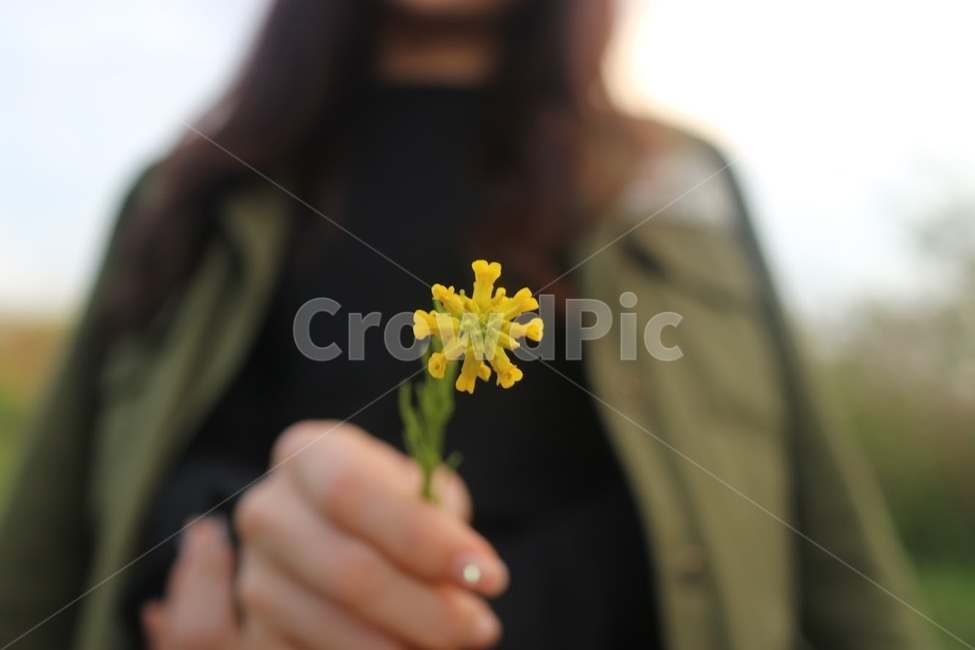 꽃,여친,데이트,노란꽃,노란색