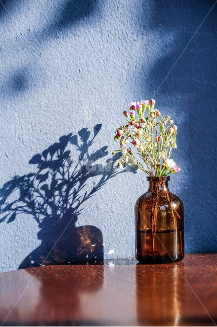 화병,유리병,꽃,그림자,테이블,식물,자연,plants,nature,꽃,flower,실내용화초,화분,화초,house plant,인테리어,실내디자인,interior design