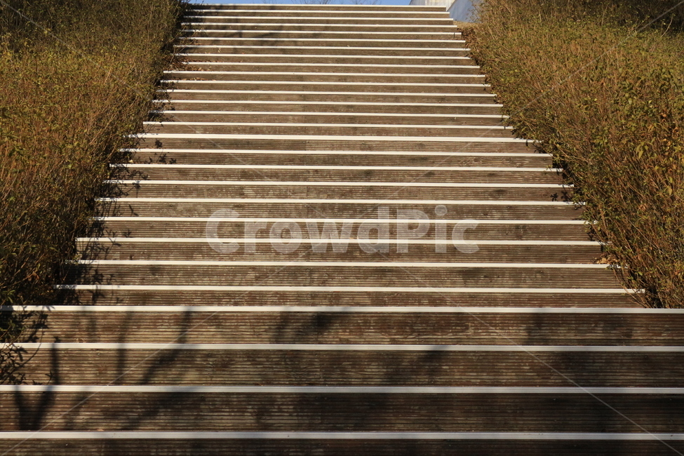 계단,자연,나무계단,난간,나무,그림자,staircase,handrail,banister