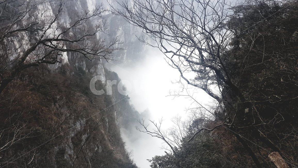 산,안개,안개구름,나무,구름,협곡,자연,풍경,절벽,나뭇가지,등산,고요함