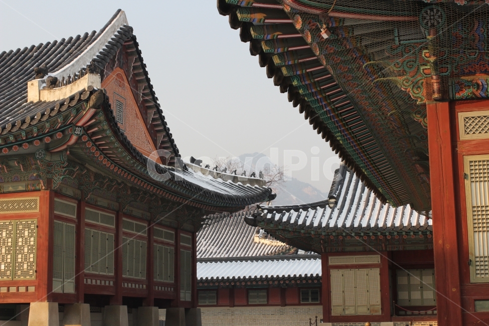 서울,경복궁,궁궐,눈,temple,겨울,계절,winter,season,한국전통,한국문화,korean traditional,korean culture,랜드마크,landmark,tourist attraction,한국랜드마크,한국관광지,한국명소,korea landmark,korea tourist attraction,건축물,건물외관,exterior,building,structure,architecture,construction