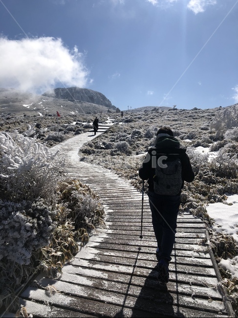 제주도,한라산,겨울산행,어리목,설경,눈꽃,jeju,mthalla,자연,nature,파란하늘,트레킹,trecking,겨울,winter,겨울산,탐방로,human,인간