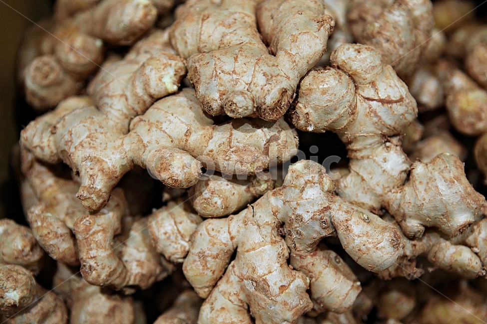 ingredient,root vegetables,ginger,plant,ingredients,food
