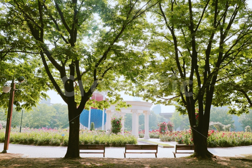 자연풍경,여행,색감,꽃,자연,풍경,분위기,자연,풍경,nature,landscape,bench,벤치,tree,나무,plant,식물,grass,잔디