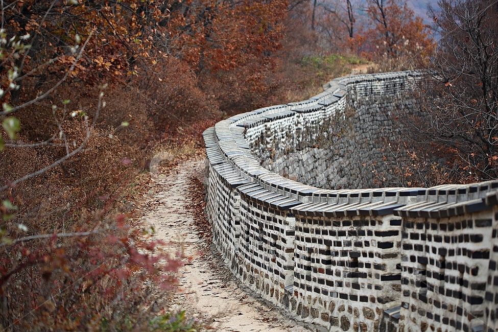 남한산성,성,성곽,단풍,낙엽,길,둘레길,담,돌담,가을,자연,풍경,벽,울긋불긋,산성,식물,가을,계절,fall,autumn,season