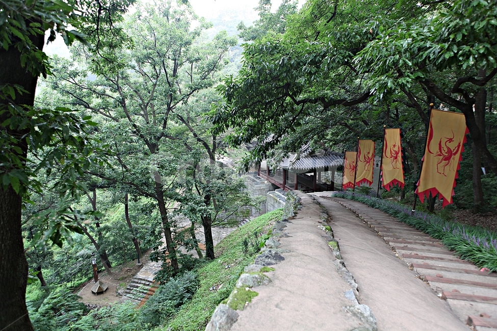 공주산성,산성,성,성곽,길,둘레길,숲,숲길,안개,담,돌담,여름,풍경,흙담,나무,식물,유네스코등제