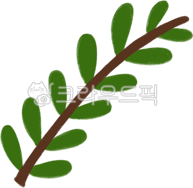 나뭇가지,잎,잎사귀,나무,식물