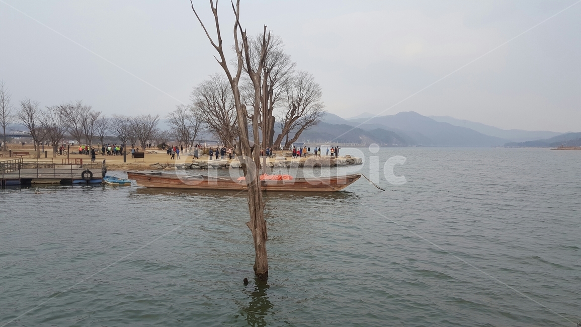 두물머리,쓸쓸함,나홀로나무,뗏목,호주,외로움,lake