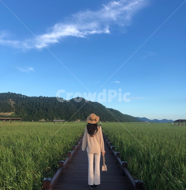 습지,순천만,갈대,뒷모습,여름여행,감성사진,이쁜여자,긴머리,여행,휴가,traveling,vacation,trip
