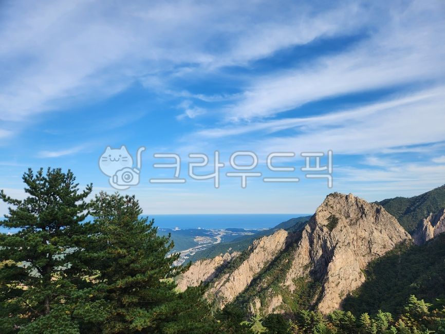 산,정상,자연,나무,우리나라산