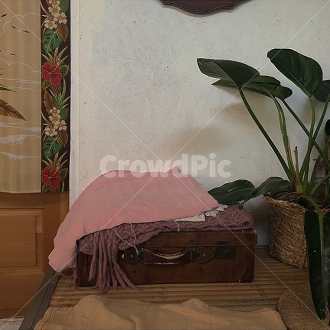 빈티지,소품,인테리어,엔틱,천,식물