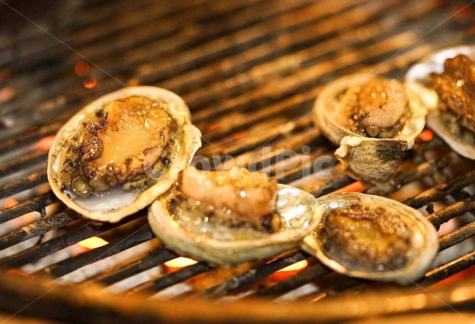 조개,안주,안주거리,술자리,음식,해물,먹방,해물구이,조개구이,구이,술안주,불판,식사,푸드,먹빵,음식사진,해산물,전복,음식,식재료,요리,food,cook,meal,dishes,food reserves,수산물,해산물,fishery products,seafood