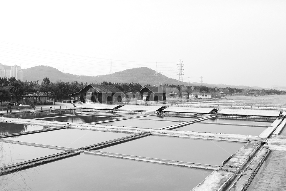 염전,소금창고,풍경,풍광,배경,소금,흑백,모노톤,monochrome,black and white,산업,industry,industrial