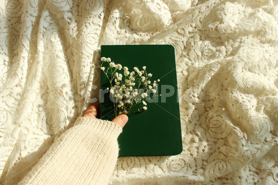 책,일기,일기장,다이어리,메모,기록,신체일부,몸,손,hand,body,diary,안개꽃,꽃,flower,레이스,꽃,flower,사람,인물,인간,human,person,신체일부,몸,body,감성,sensible,feeling,학용품,문구류,사무용품,school supplies,stationery,office supplies