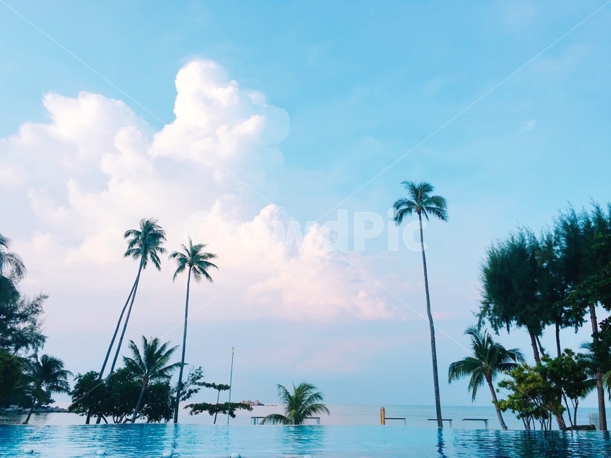 빈탄,여행,수영장,야자수,하늘,구름,바다,나무,자연,풍경,nature,landscape,summer,여름