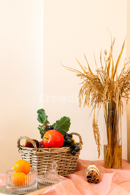 flower,꽃,식물,plant,정물