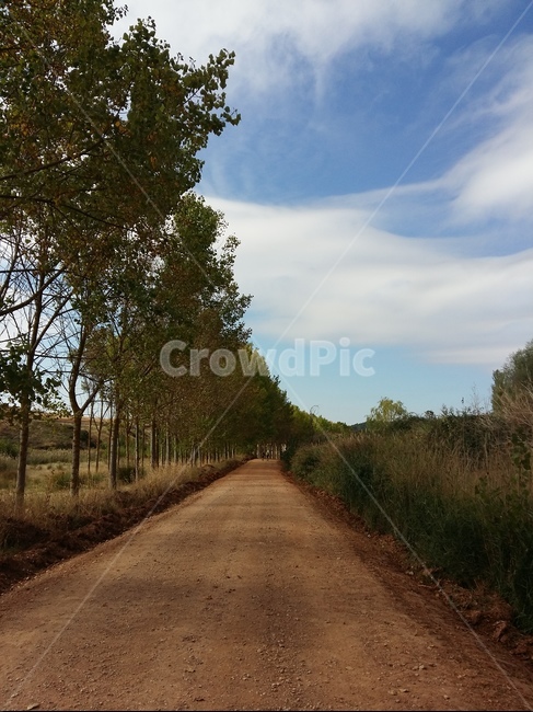 cloud,camino,caminodesantiago,Spanish scenery,Pilgrim road scenery,road,Santiago pilgrimage route,tree