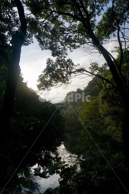 대한민국,제주,천지연폭포,korea,jeju,풍경,한국의풍경,자연,풍경,nature,landscape,flare,플레어,light,빛