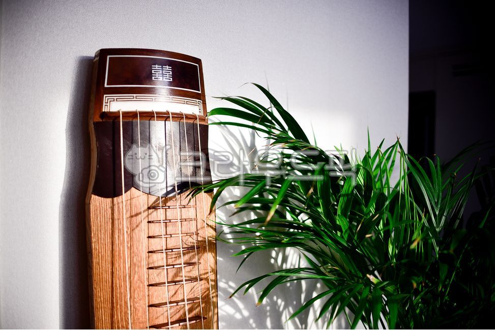 lyre,geomungo,Korean music,string instrument,Gayageum,instrument,gayageum